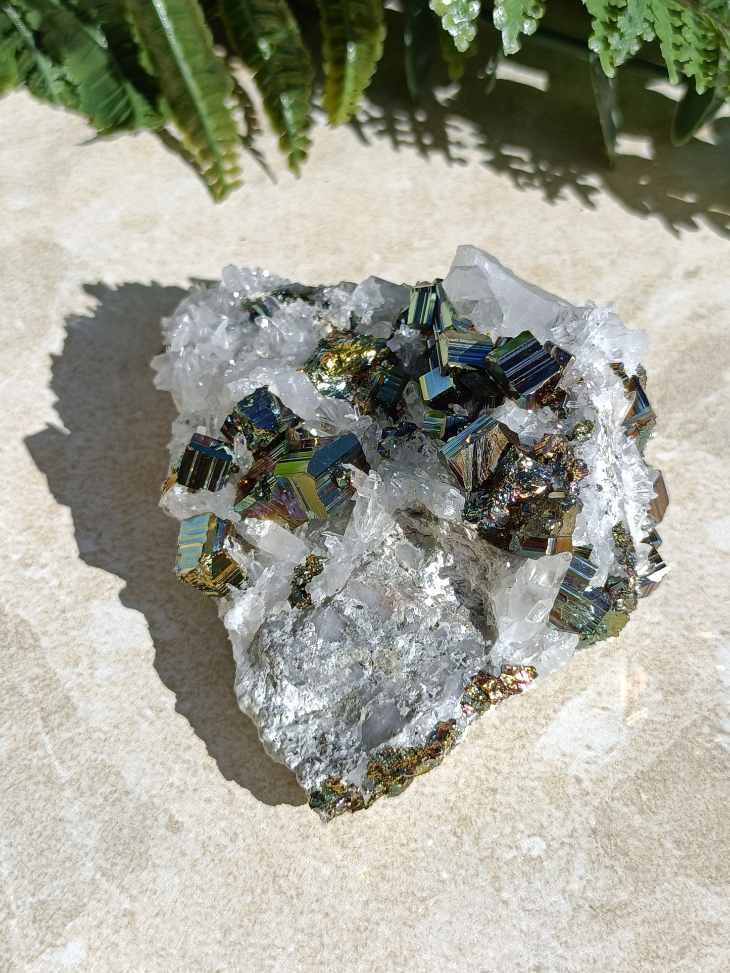 Rainbow Pyrite and Clear Quartz Cluster #335