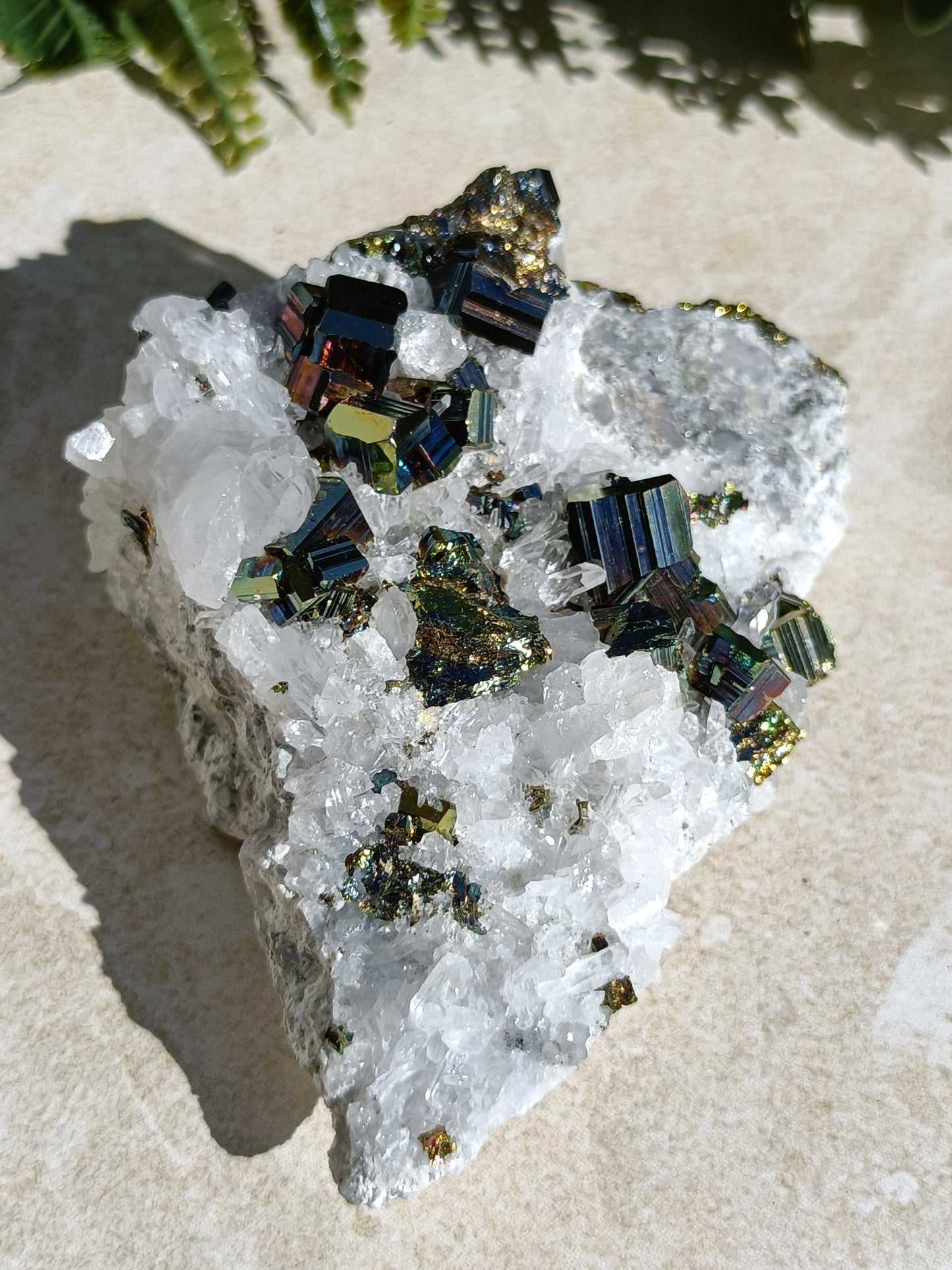 Rainbow Pyrite and Clear Quartz Cluster #335
