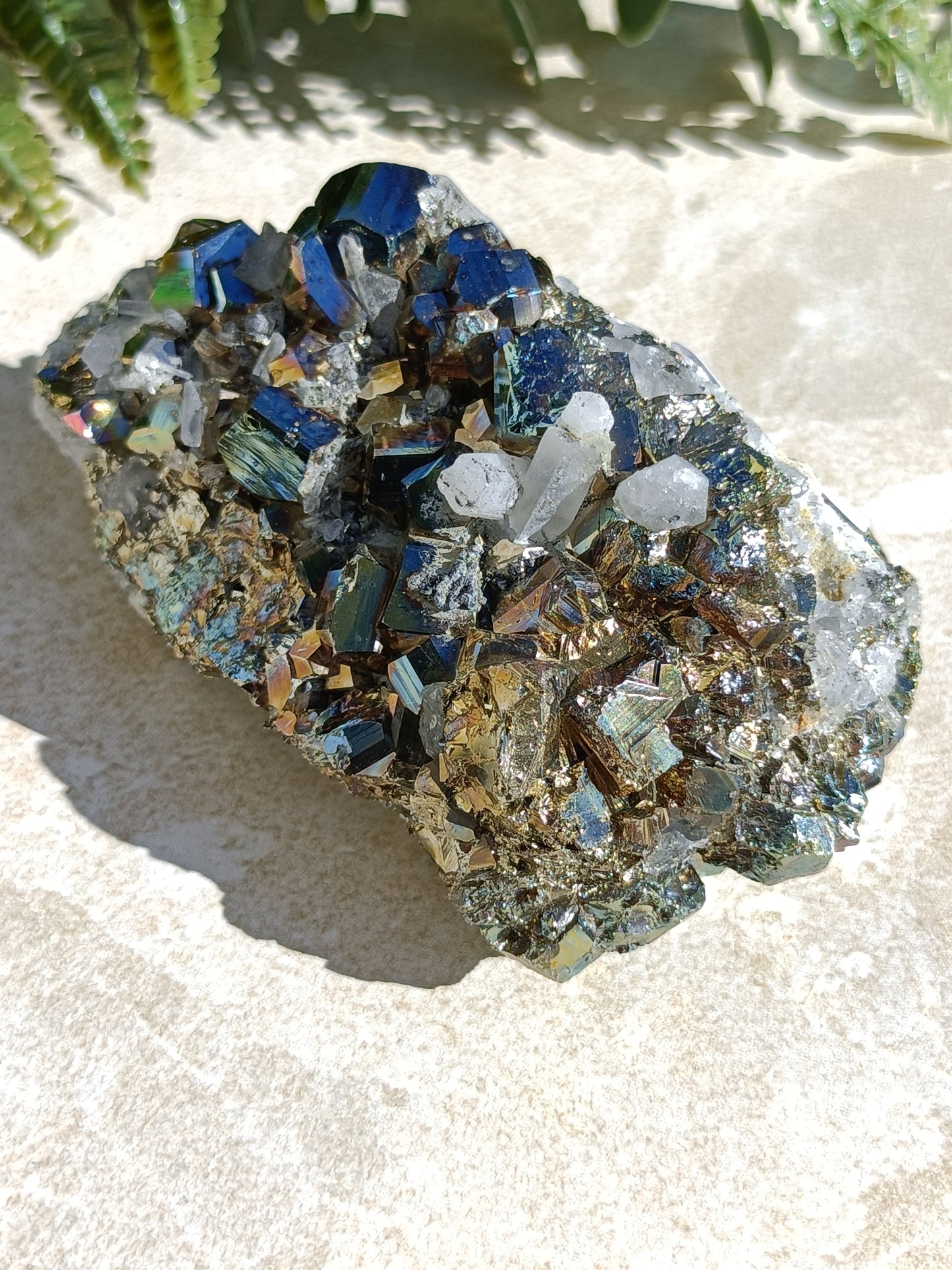 Rainbow Pyrite and Clear Quartz Cluster #331
