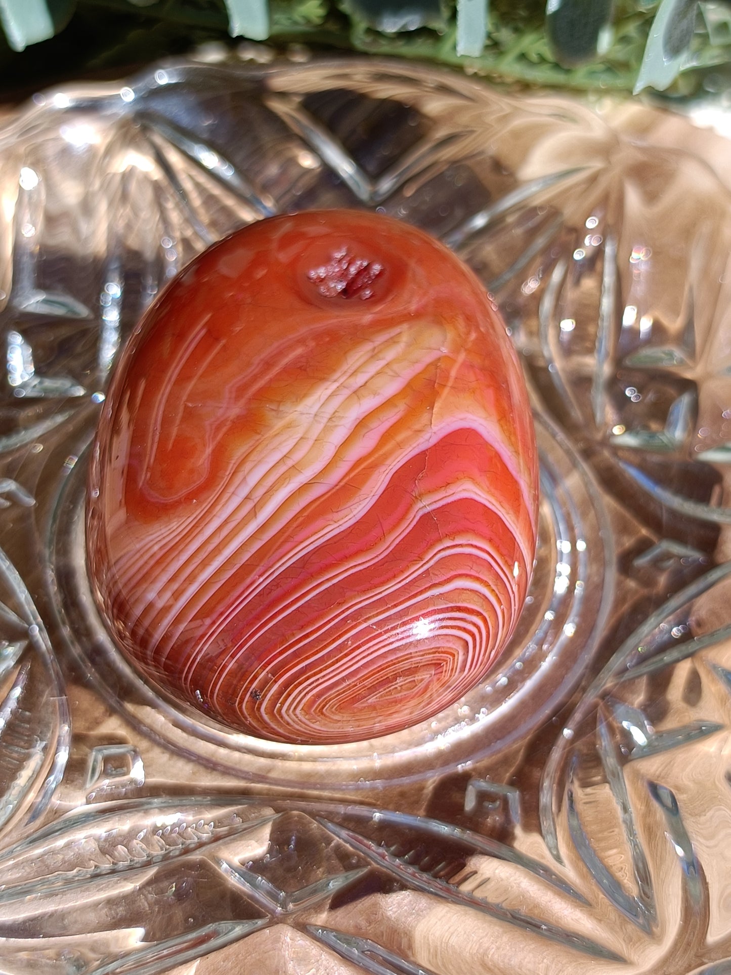 Carnelian Palm Stone #225 – Confidence, Creativity and Life Force