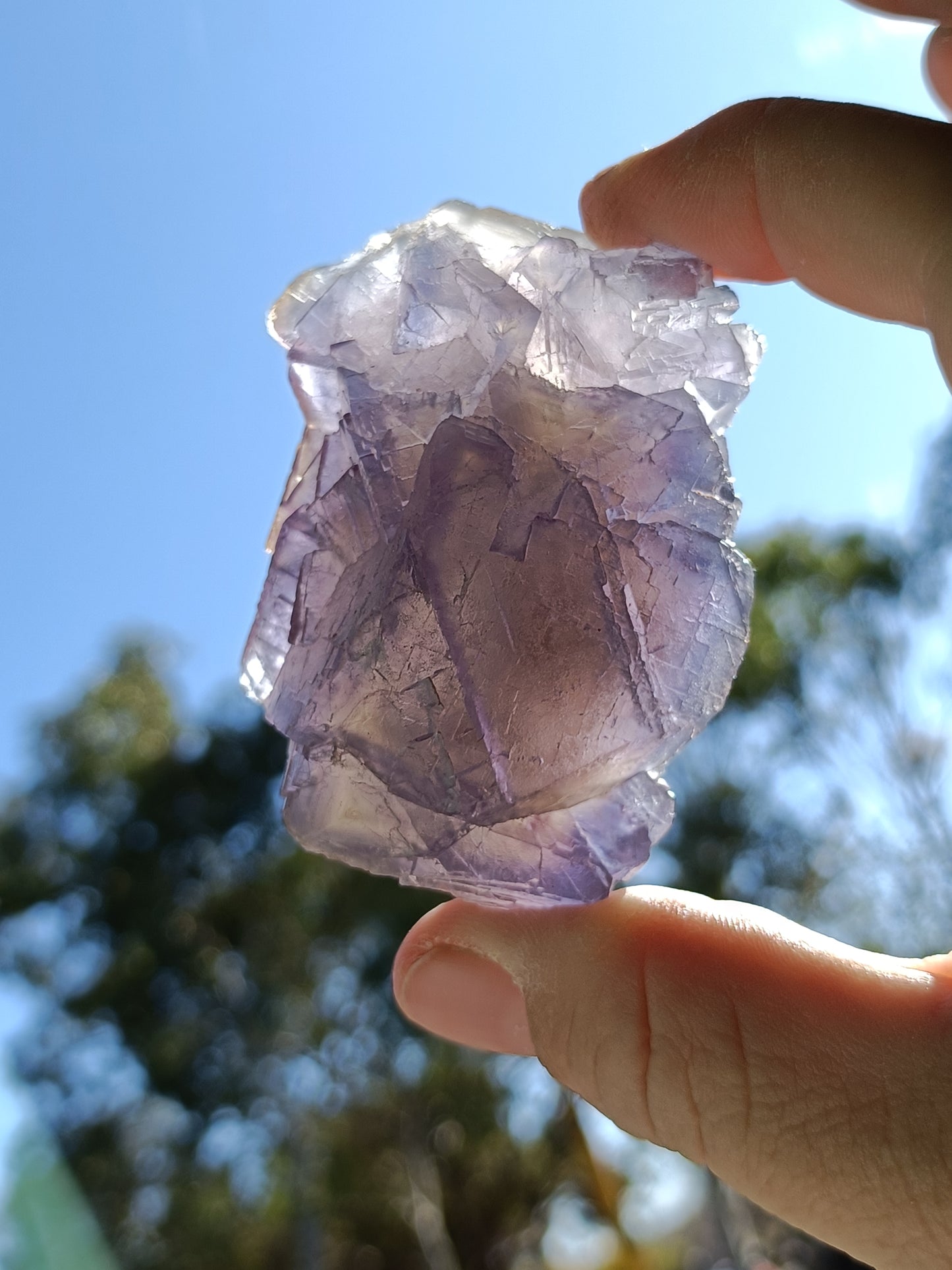 Raw Blue Fluorite #ZZ – Crystal for Communication, Clarity & Spiritual Insight | Throat & Third Eye Chakra Stone for Mental Focus & Calm