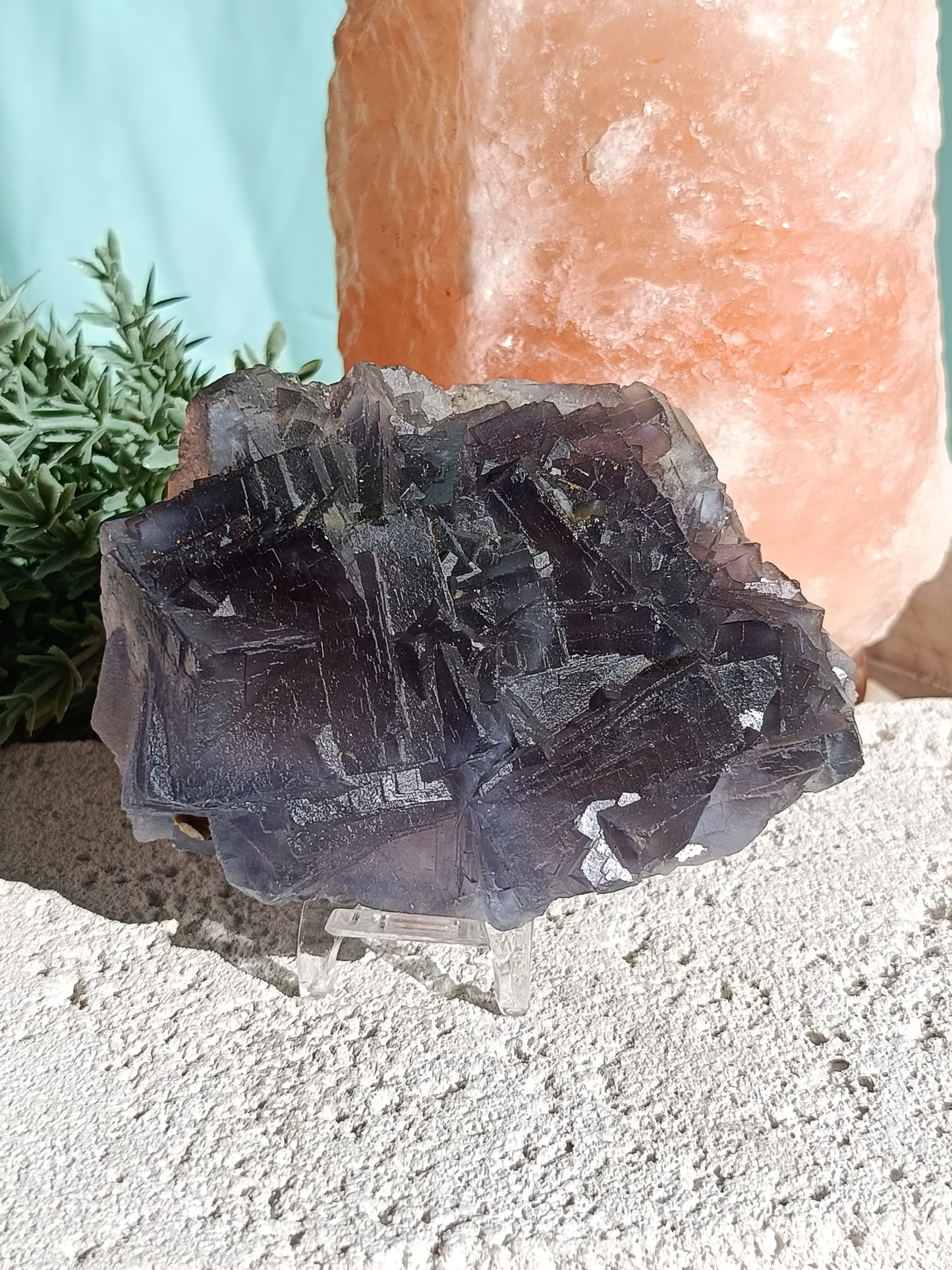 Raw Blue Fluorite #CC – Mental Clarity, Peace and Inspired Flow