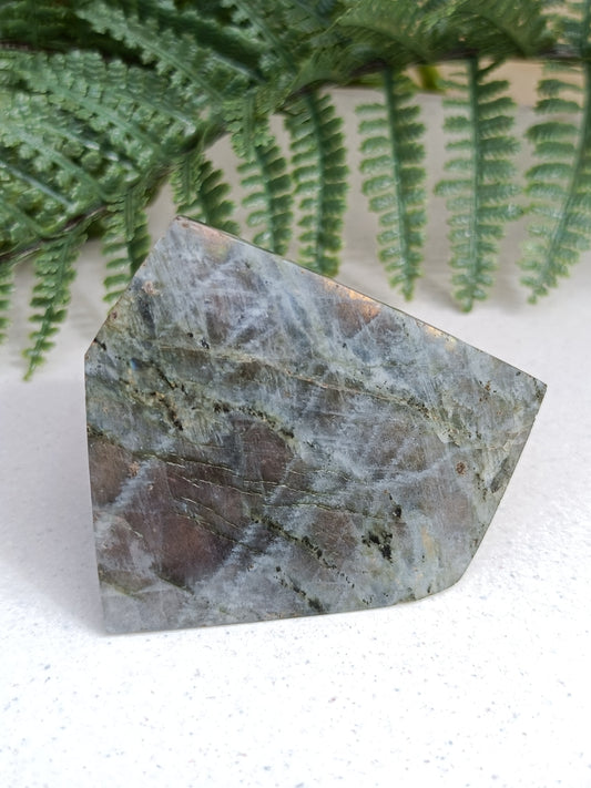 Labradorite Free Form #208