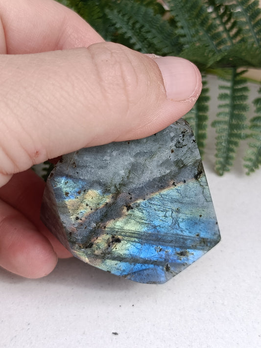 Labradorite Free Form #210