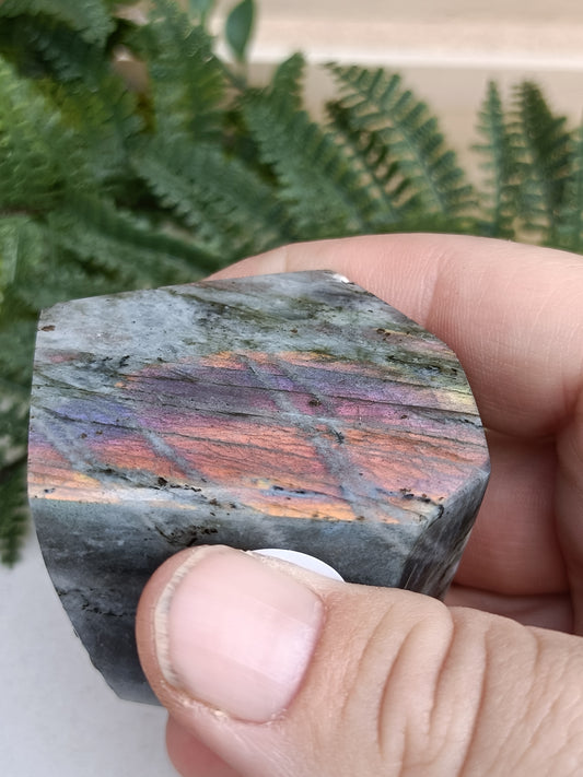 Labradorite Free Form #216