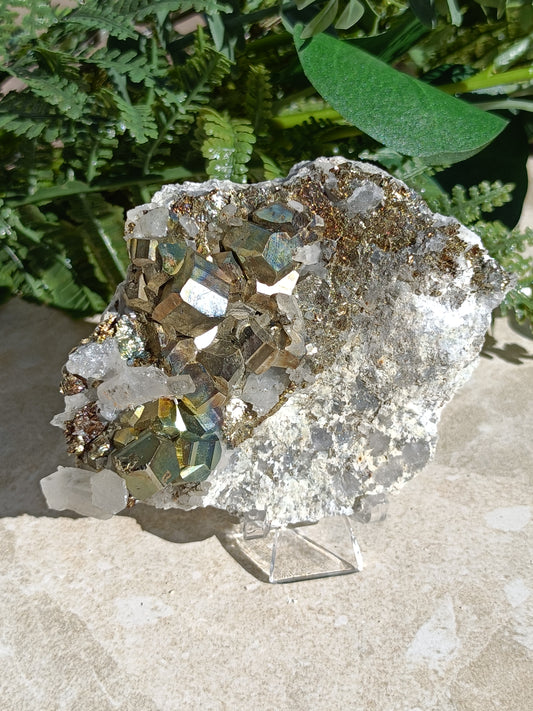 Rainbow Pyrite and Clear Quartz Cluster #326