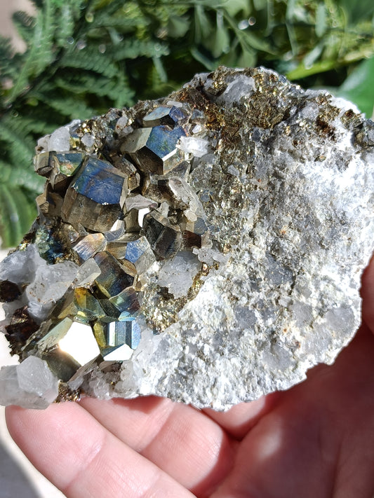 Rainbow Pyrite and Clear Quartz Cluster #326