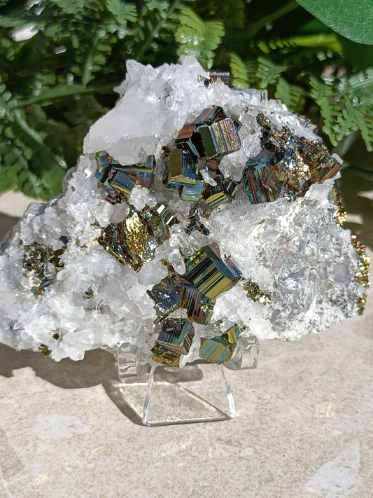 Rainbow Pyrite and Clear Quartz Cluster #335