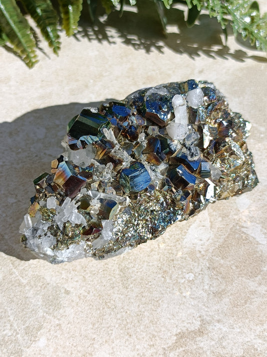 Rainbow Pyrite and Clear Quartz Cluster #331