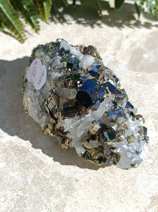 Rainbow Pyrite and Clear Quartz Cluster #331
