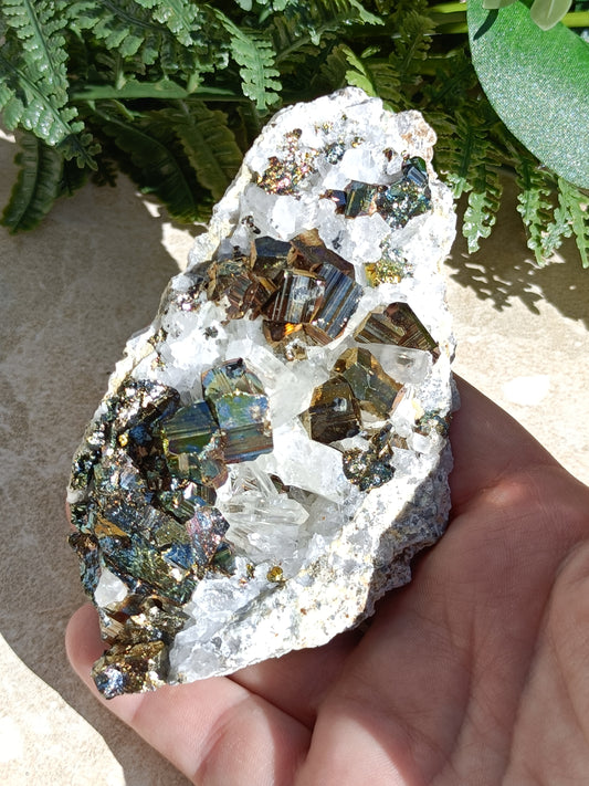 Rainbow Pyrite and Clear Quartz Cluster #323