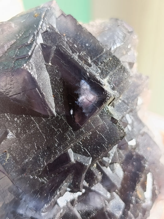 Raw Blue Fluorite #CC – Crystal for Communication, Clarity & Spiritual Insight | Throat & Third Eye Chakra Stone for Mental Focus & Calm