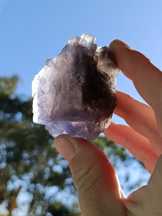 Raw Blue Fluorite #AC – Crystal for Communication, Clarity & Spiritual Insight | Throat & Third Eye Chakra Stone for Mental Focus & Calm