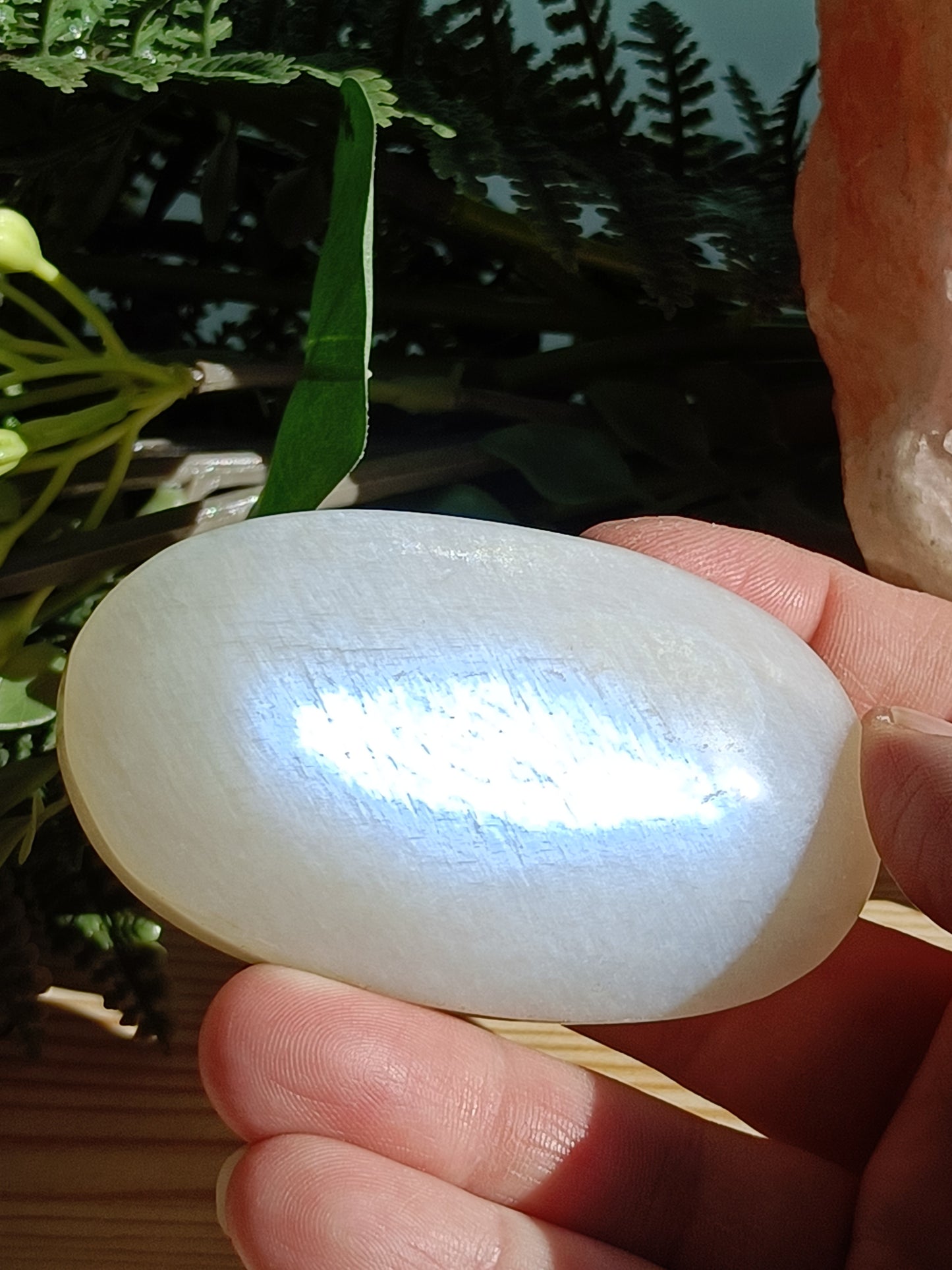 Moonstone Palm Stone #C10 – Intuition, Feminine Energy and New Beginnings