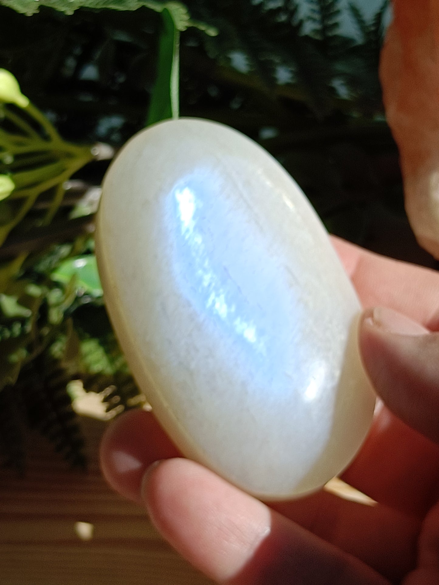 Moonstone Palm Stone #C10 – Intuition, Feminine Energy and New Beginnings