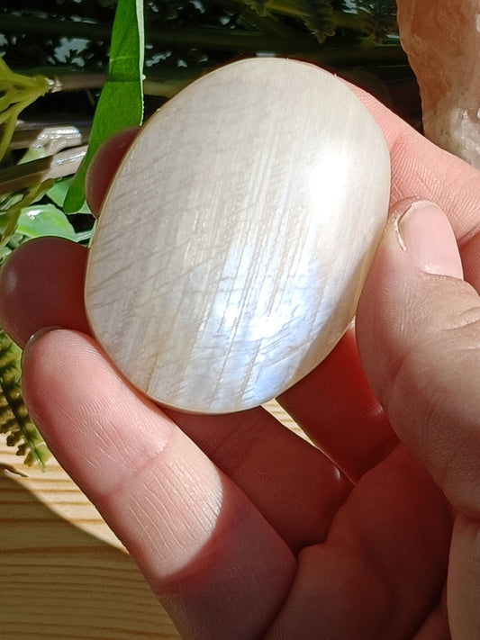 Moonstone Palm Stone #D7 – Crystal for Intuition, Emotional Balance & New Beginnings | Third Eye & Crown Chakra Stone