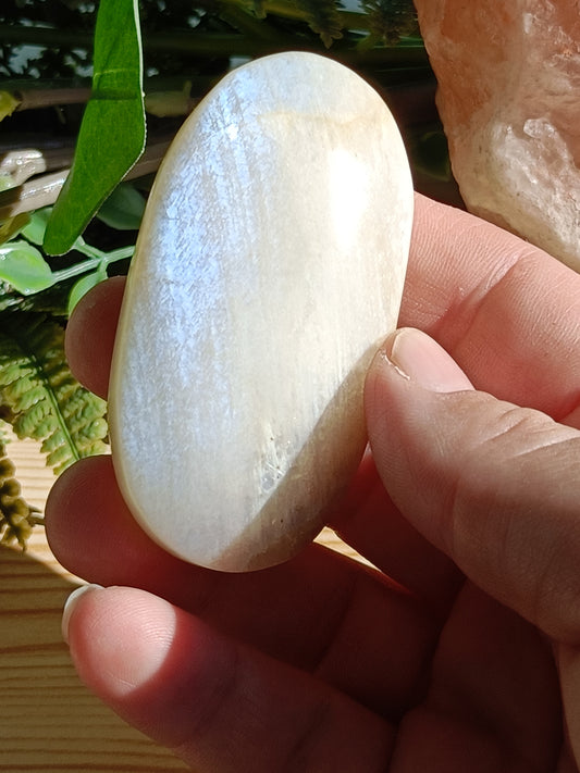 Moonstone Palm Stone #C10 – Crystal for Intuition, Emotional Balance & New Beginnings | Third Eye & Crown Chakra Stone