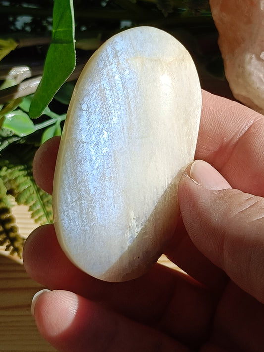 Moonstone Palm Stone #C10 – Crystal for Intuition, Emotional Balance & New Beginnings | Third Eye & Crown Chakra Stone